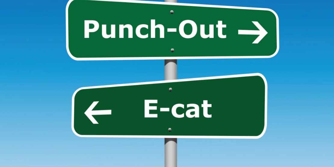  Illustration of two signs with PunchOut and E-cat written