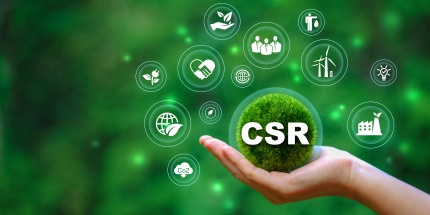 CSR approach meaning pillars 