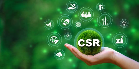 CSR approach meaning pillars 