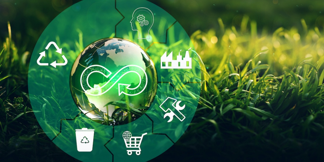 Circular economy in business strategy 