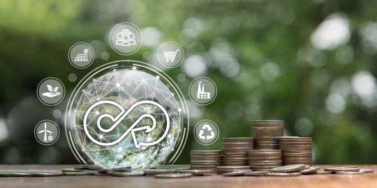 Circular economy in business strategy 