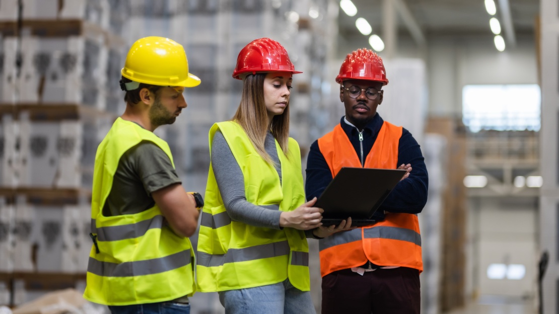 diversity in supply chain, supplier diversity 