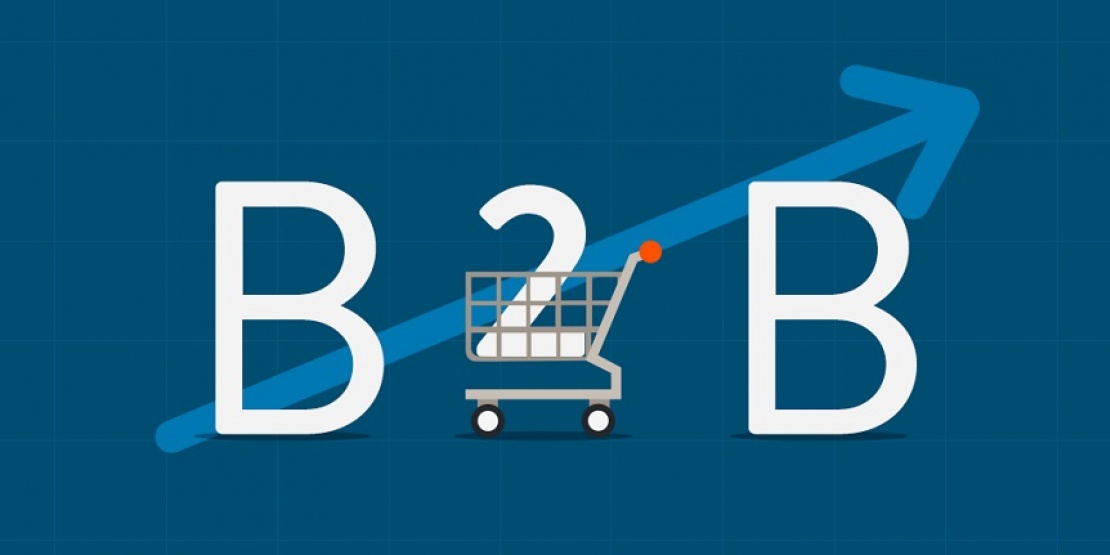 B2B E-Commerce — a revolution for industrial enterprises?