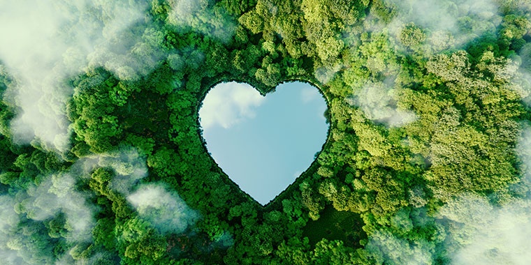 Image d'un lac en forme de cœur dans une forêt