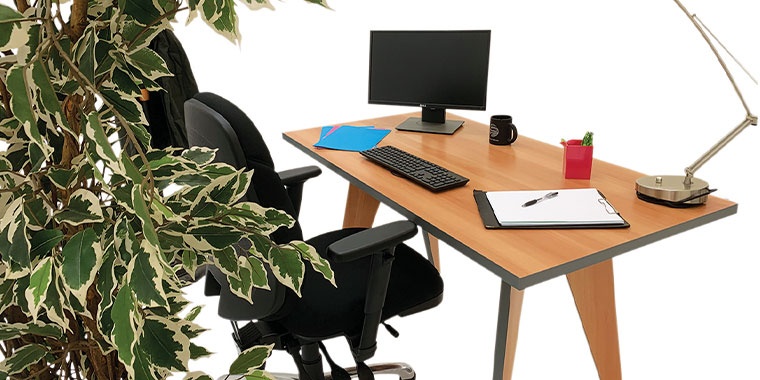 Photo of a plant and a selene desk