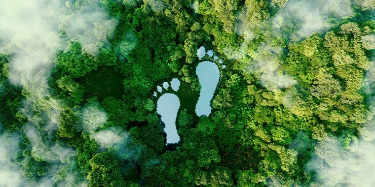 Illustration of a forest with two footprints