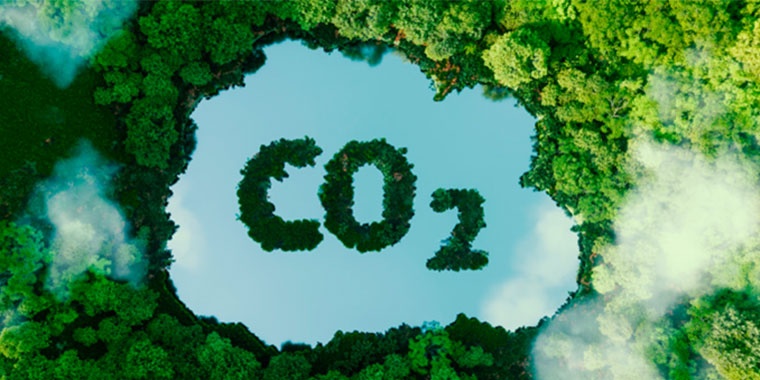 Illustration of a lake written CO2