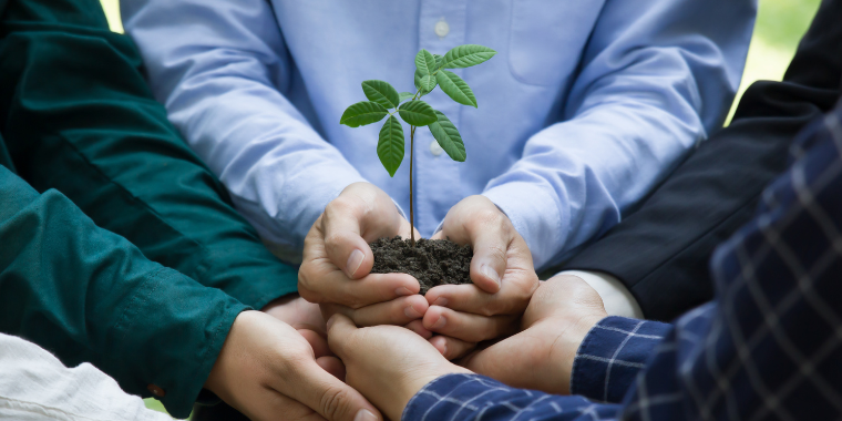 Hands holding a seedling symbolizing collaboration and sustainability